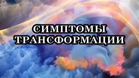 Внутренний мир больной пушистой созданности: особенности сновидений во время состояния недомогания