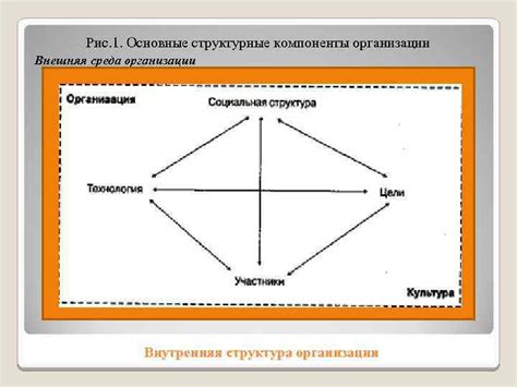 Внутренняя структура бедер: основные компоненты