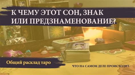 Внушительный сон охэйра: предзнаменование процветания и достижений