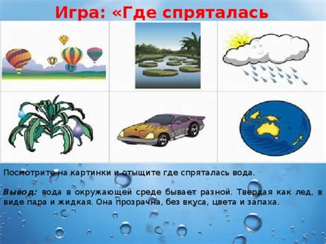 Вода в окружающей среде: как она попадает в реки?