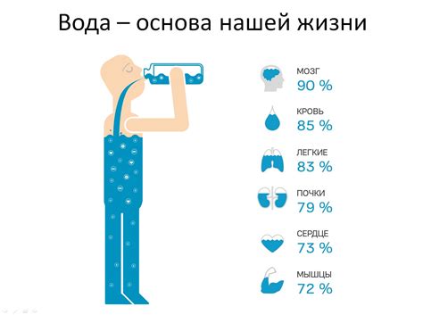 Вода в остановках: важность и необходимость