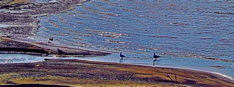 Вода в символике палатки на речной отмели: связь с водными элементами