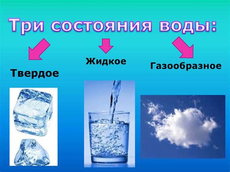 Вода и её растворимость в природе: основные свойства и примеры