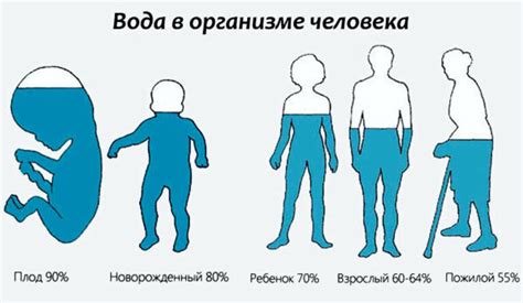 Вода и наш организм: неразрывная связь