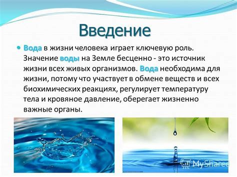 Вода как необходимое условие для жизни всех организмов