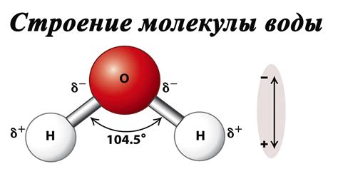 Вода как символический элемент в сновидении