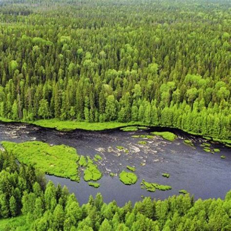 Водлозерский национальный парк