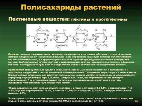 Водорастворимые пектины и нерастворимые пектины