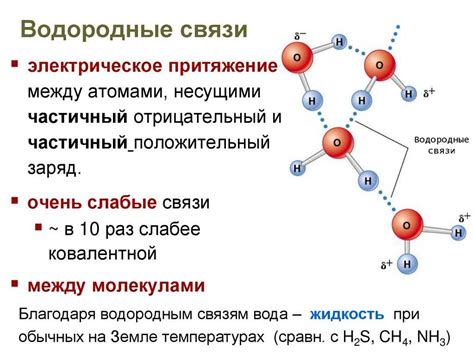 Водородная связь: механизм образования