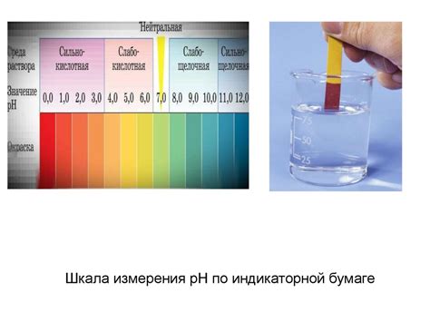 Водородный показатель рН и его значимость