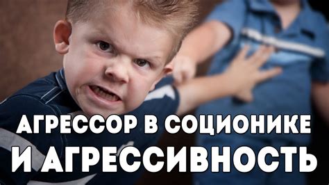 Возбуждение и агрессивность