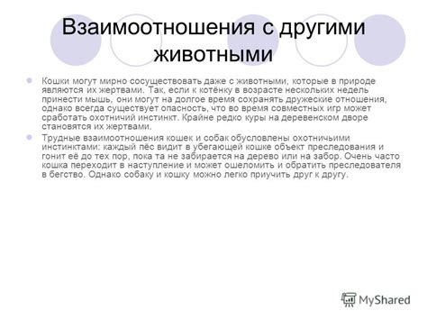 Возвращение и взаимоотношения: что они могут принести?