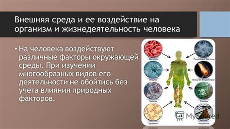 Воздействие анабиоза на организм: глубокое замедление жизнедеятельности