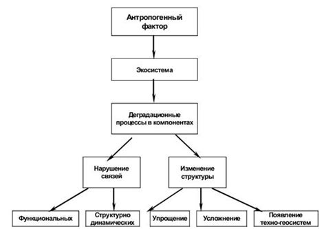 Воздействие насекомых на экосистему