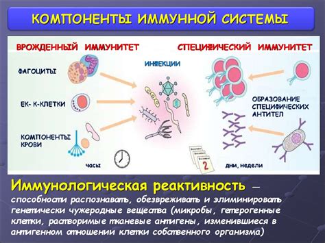 Воздействие на активность иммунной системы