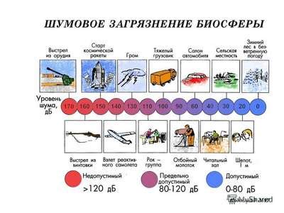 Воздействие на здоровье людей и животных