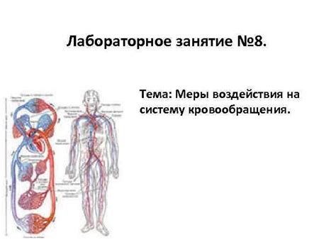 Воздействие на систему кровообращения при невыдержаваемом течении