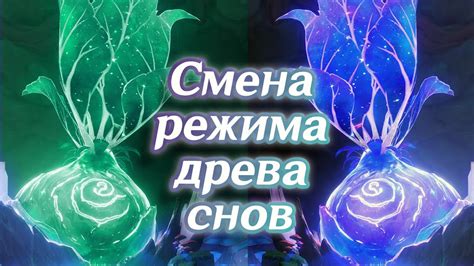 Воздействие снов на подсознательное восприятие: как мечты могут способствовать влюбленности в незнакомца