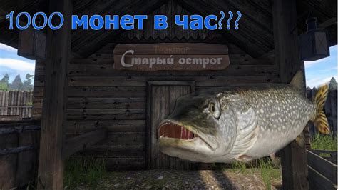 Воздействие снов о обильной щуке на успех предприятия: значение и скрытая значимость