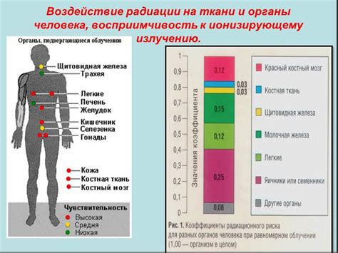 Воздействие тромболитического действия на органы