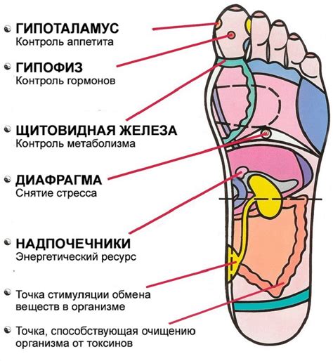 Воздействие уходящей части стопы на декодирование сновидений