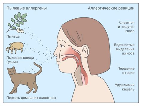 Воздушно-пылевые аллергены и сопли