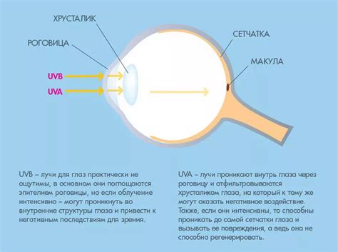 Возможное воздействие инфекционных заболеваний на глаза