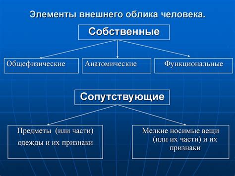 Возможности изменения внешнего облика и его влияние