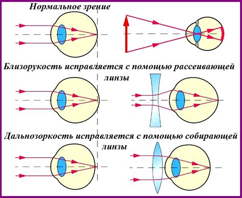 Возможности коррекции и визуальное выделение глаз