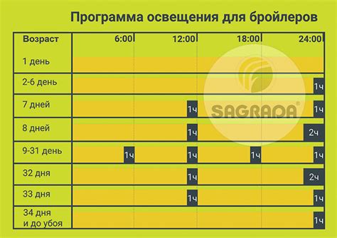 Возможности улучшения искусственного освещения для продления светового дня