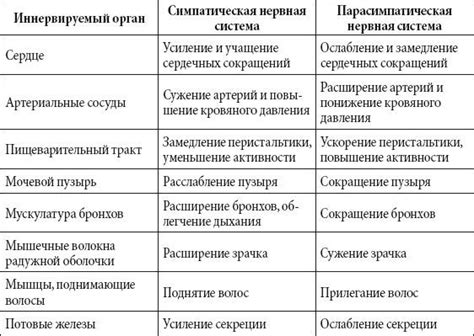 Возможные осложнения при пониженном тонусе симпатической нервной системы