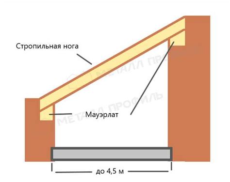 Возможные плюсы и минусы обладания полнородной сестрой