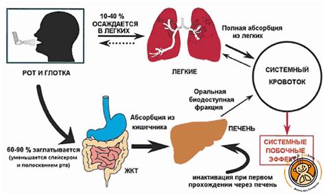 Возможные побочные эффекты глицерола