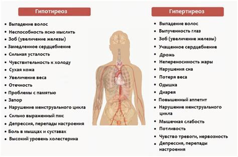 Возможные последствия повышенного уровня свободного гормона Т4 у женщин