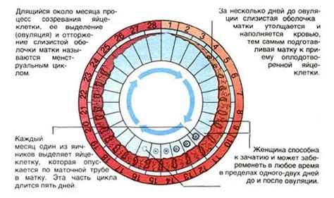 Возможные последствия повышенного уровня эндометрия во время климакса