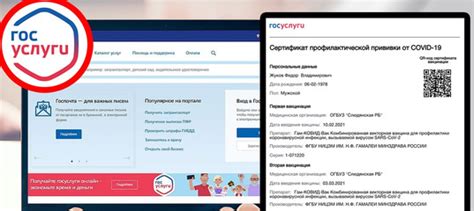 Возможные причины отсутствия информации о второй вакцинации