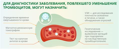 Возможные причины повышенного тромбокрита у женщин