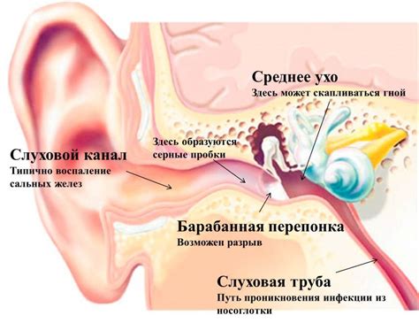 Возможные причины покраснения левого уха