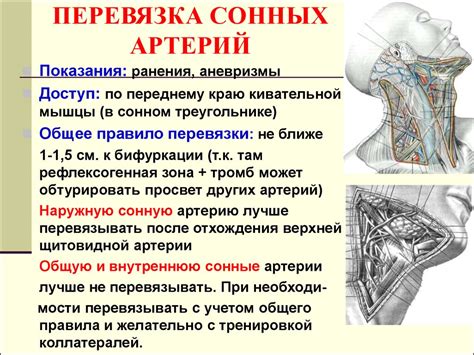 Возможные причины правостороннего кровоснабжения