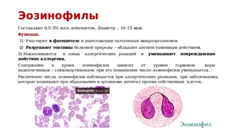 Возможные проблемы и осложнения при повышении уровня лейкоцитов