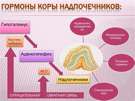 Возможные проблемы при повышенной активности надпочечников