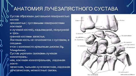 Возможные проблемы с неконгруэнтными суставными поверхностями