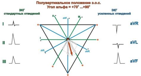 Возможные симптомы полувертикального положения электрической оси сердца