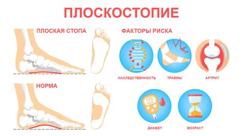 Возможные сценарии, связанные с появлением кровоподтеков на левой ноге