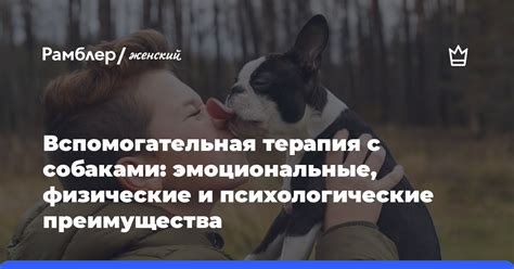 Возможные эмоциональные и психологические состояния, вызываемые сновидением о необычном животном