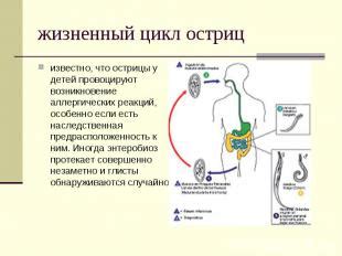 Возникновение аллергических реакций