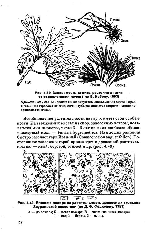 Возобновление растительности