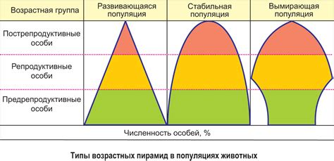 Возрастная структура пожилых крестьян: сравнительный анализ