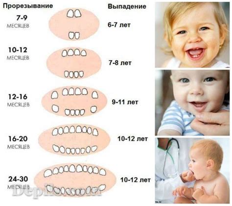 Возраст и особенности роста зубов у детей