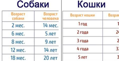 Возраст пенсионера: как определить?